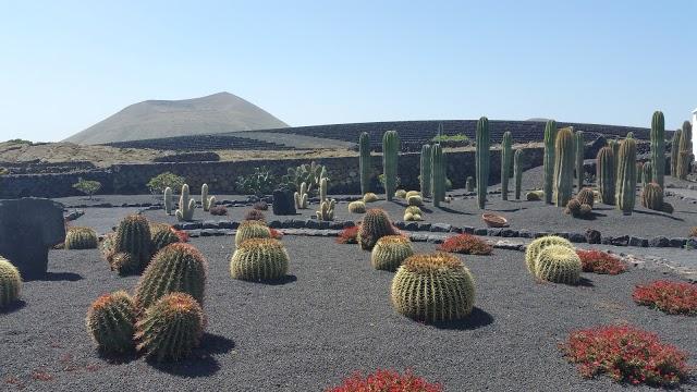 Bodegas El Grifo