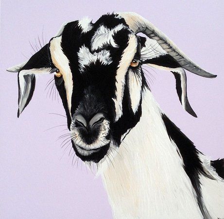 la Galería de Arte Cabra Cabra